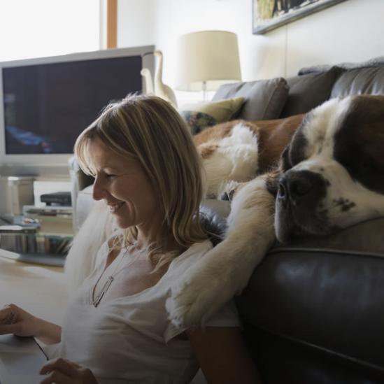 Smiling blonde woman uses her laptop on the floor in front of her couch, where her Saint Bernard is sleeping.